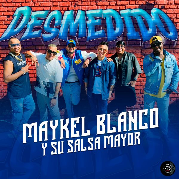 A concert crowd with hands in the air